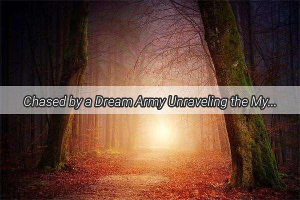 Chased by a Dream Army Unraveling the Mystique of a Womens Pursuit